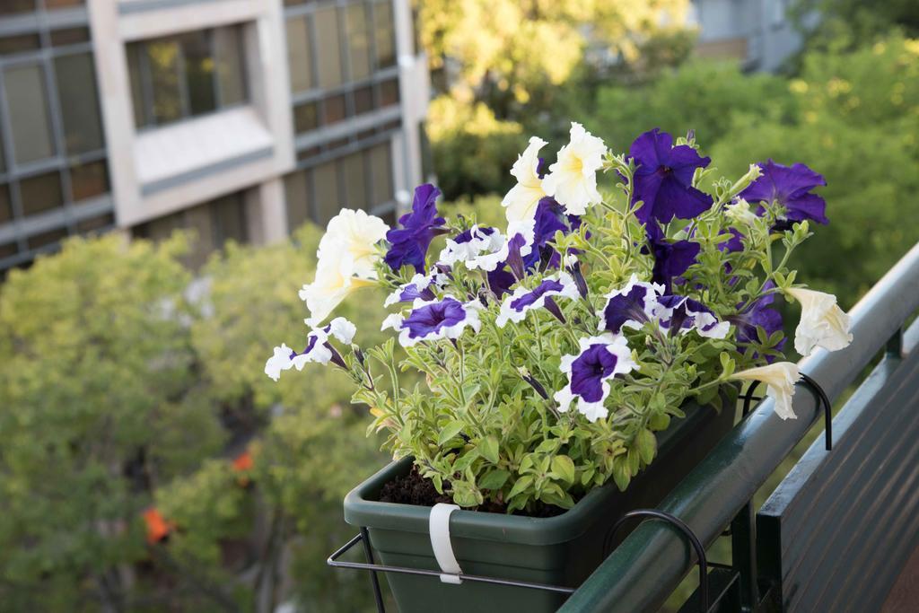 Flower Court - (adults Only) 2* Lisboa